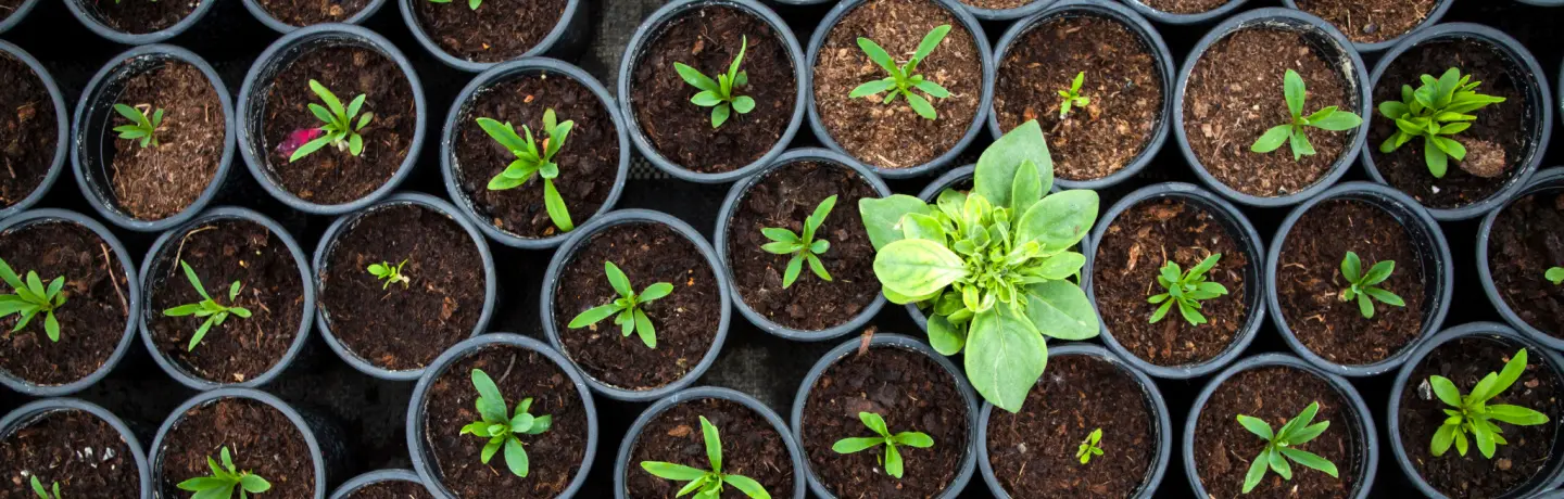 Update Your Resume & Stand Out - Hero